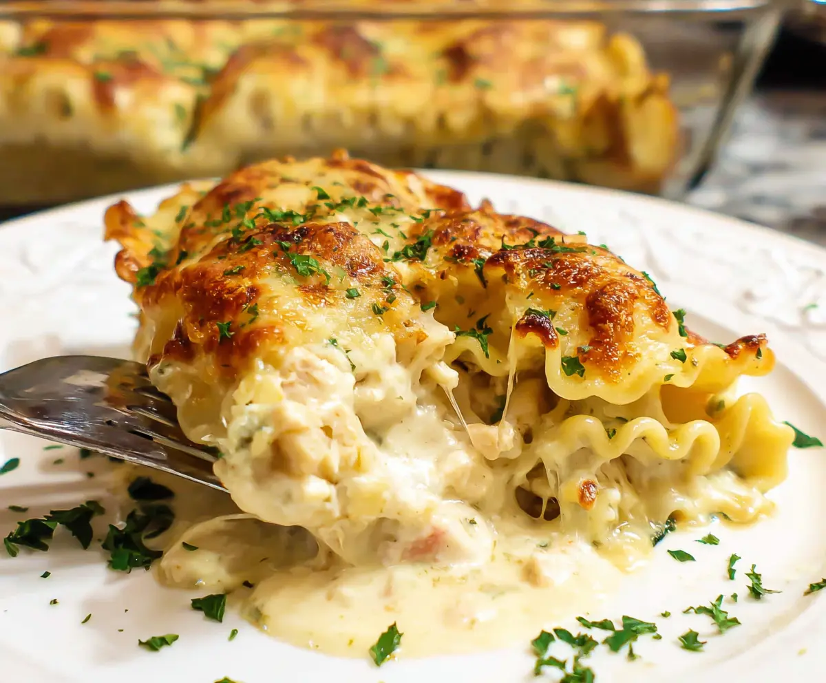 Delicious chicken Alfredo lasagna rolls with creamy sauce and melted cheese on a serving platter.