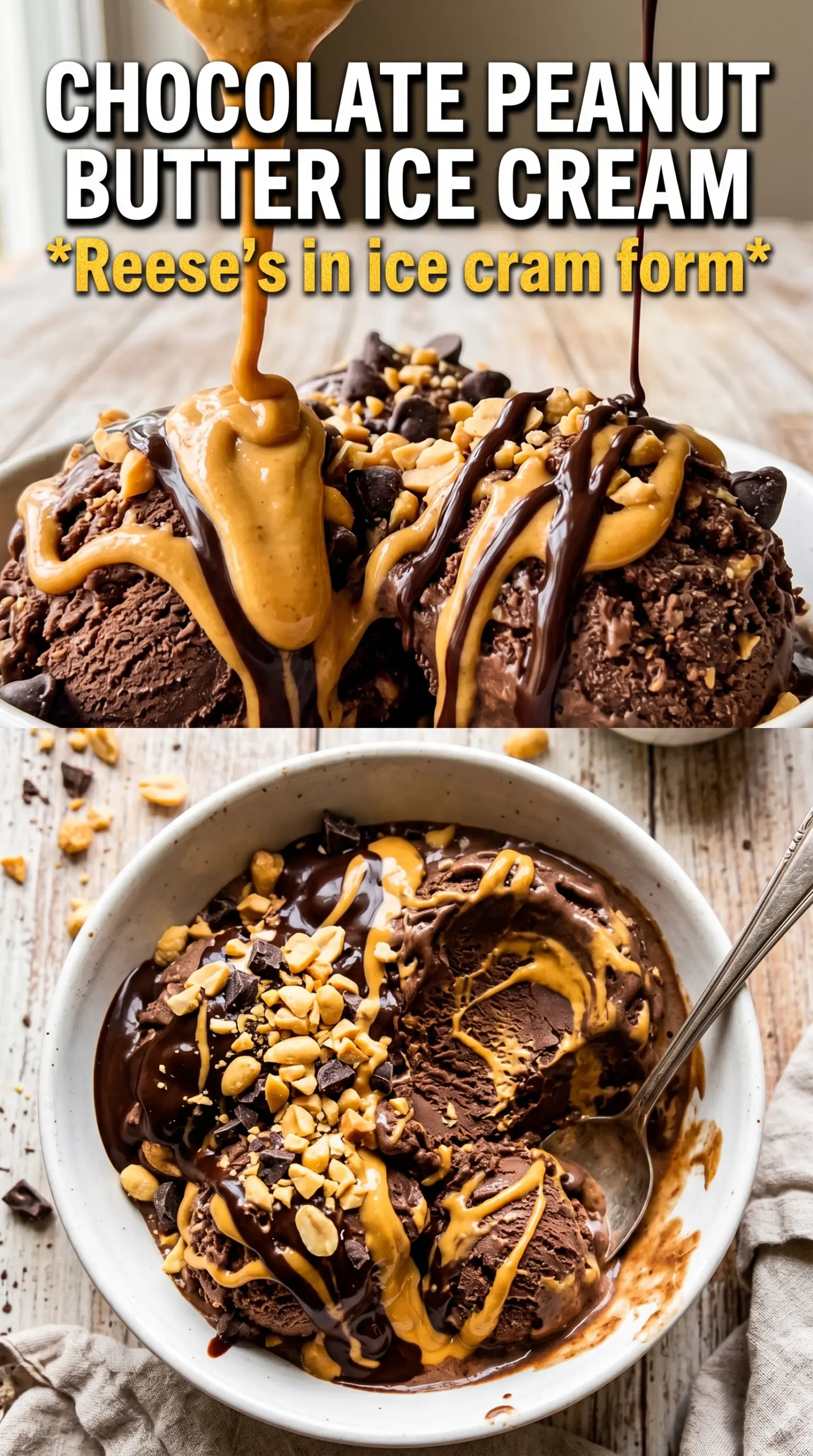 Chocolate Peanut Butter Ice Cream rich swirls creamy